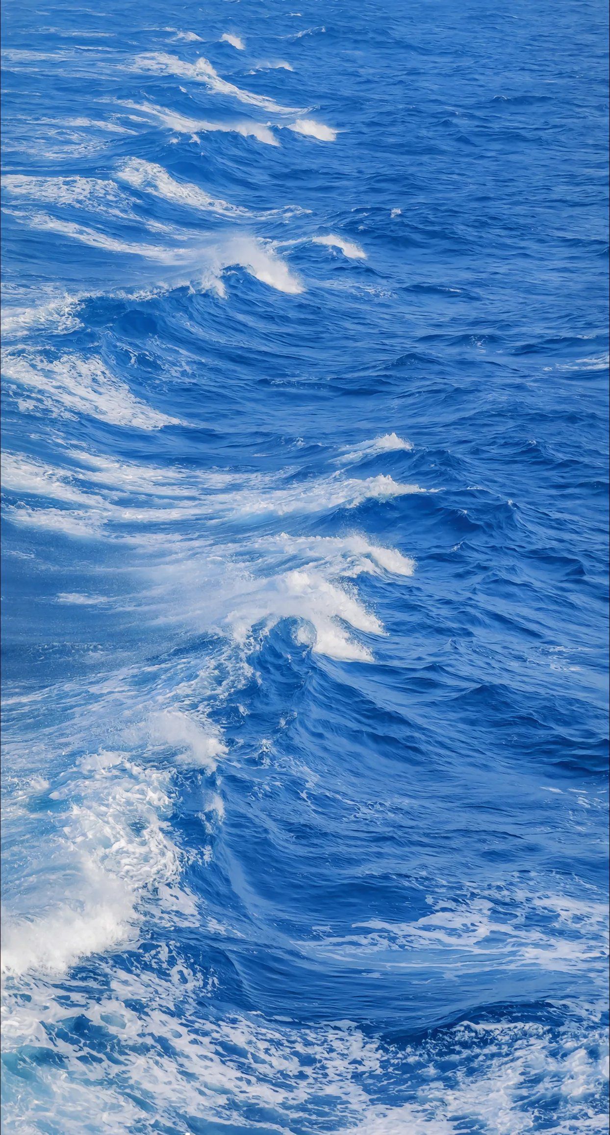 海上漂，心飛揚——探索陸路國際貨運代理業務的獨特魅力