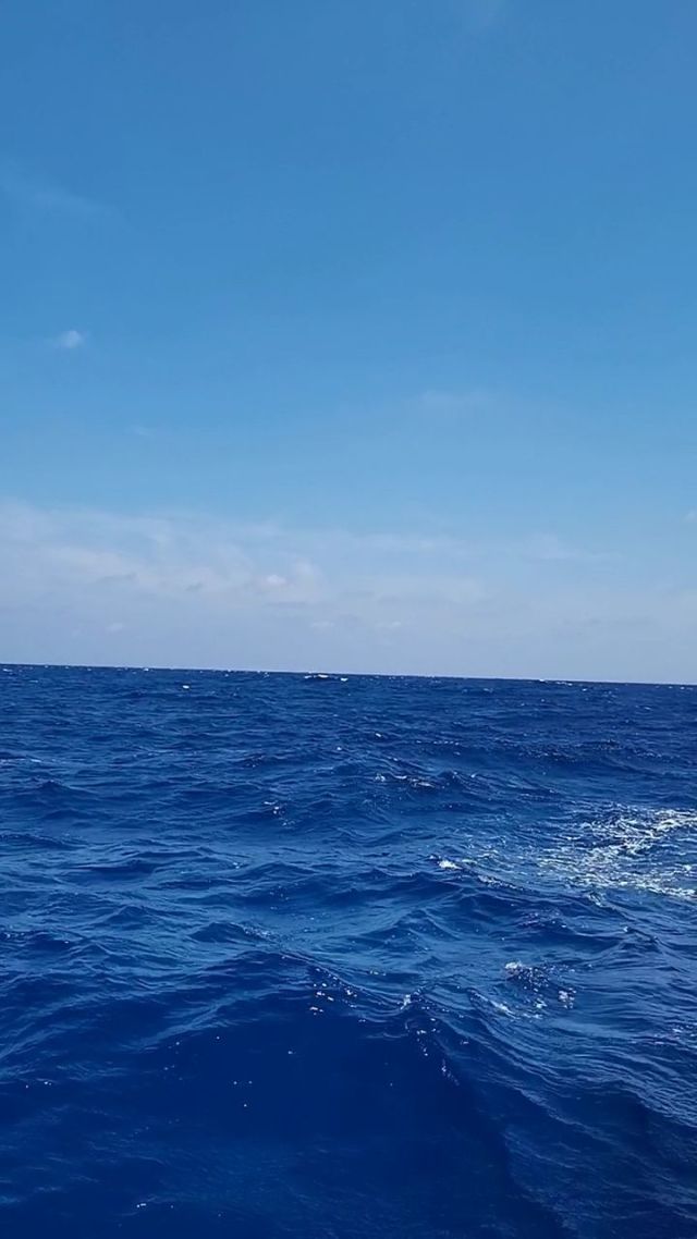 海色與貨運 天氣之于藍，策略之于行